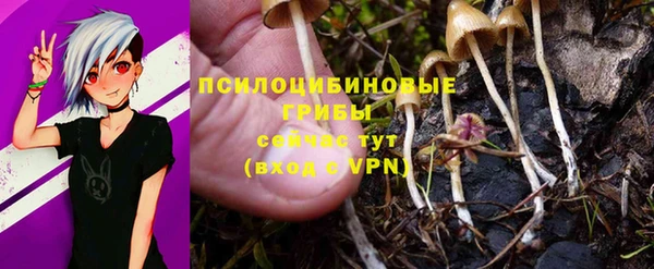 СК Костерёво