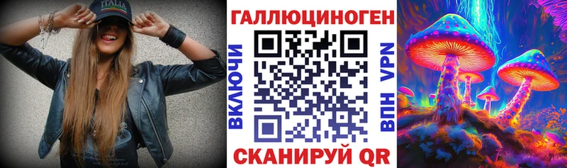 Псилоцибиновые грибы Psilocybine cubensis  Тимашёвск 